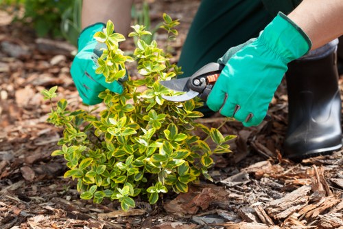 Crew working on a large estate boundary hedge