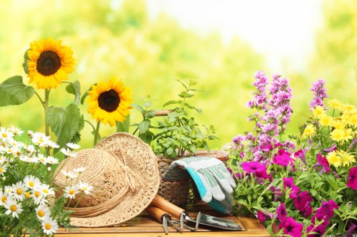 Selection of native plants ideal for Richmond's climate