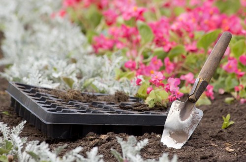 Winter protective measures for Richmond gardens