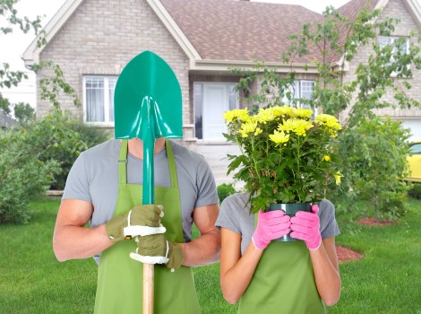 Exemplary hedge maintenance in a Richmond outdoor space